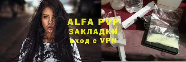 гашик Тайга