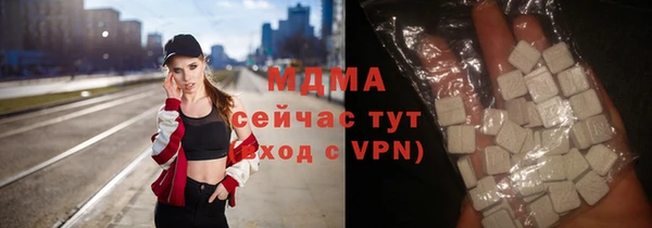 гашик Тайга