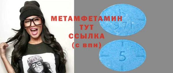 ПСИЛОЦИБИНОВЫЕ ГРИБЫ Сясьстрой