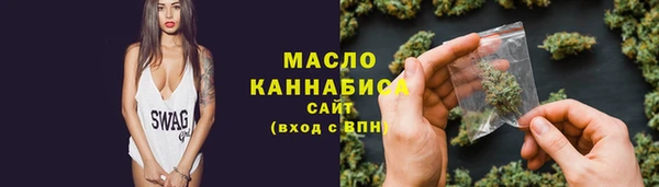 гашик Тайга