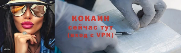 крисы Гусев