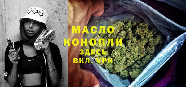 гашик Тайга