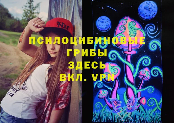 шишки Богородск