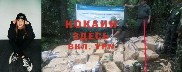 ПСИЛОЦИБИНОВЫЕ ГРИБЫ Сясьстрой