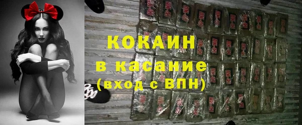 гашик Тайга