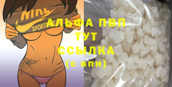 стаф Тавда