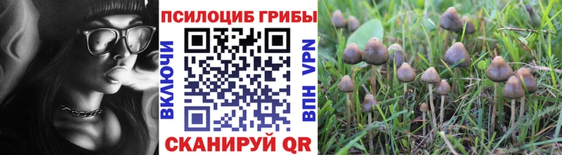 Псилоцибиновые грибы мицелий  что такое наркотик  Ирбит 